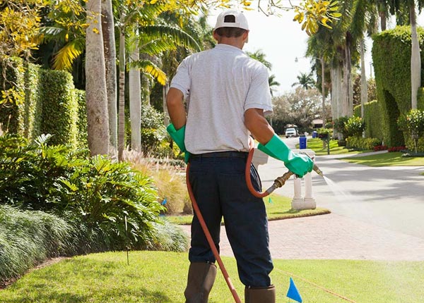 About Pax WV Pest Control